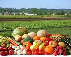 Other Food & Beverage